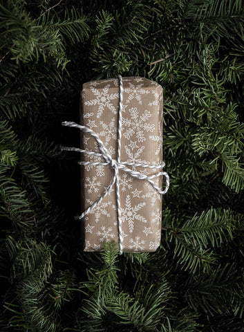 eco gift guide