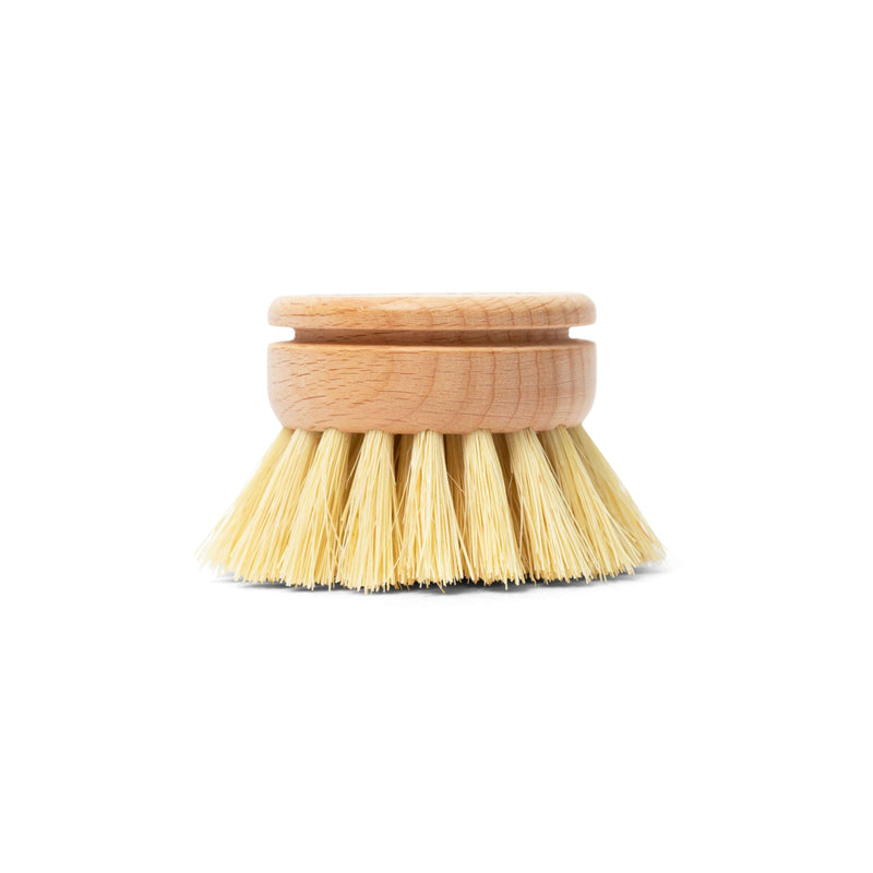 Dish Brush