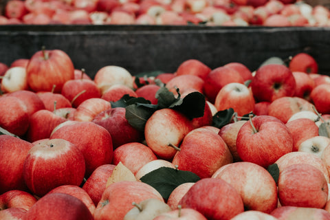 Apple Harvest