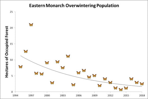 monarch butterfly population decline educated earthling