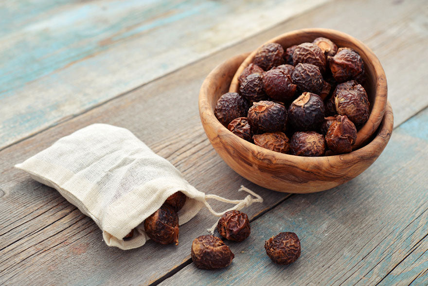 soap nuts in bowl