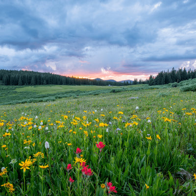 Ways You Can Reduce Your Footprint This Spring